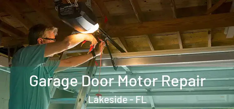  Garage Door Motor Repair Lakeside - FL