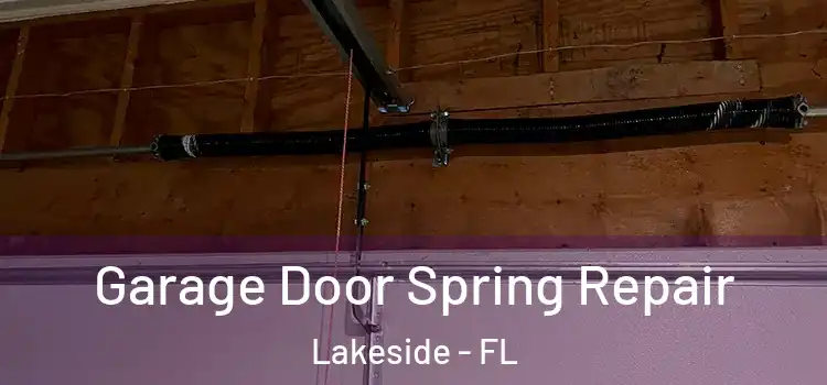  Garage Door Spring Repair Lakeside - FL