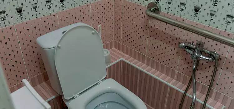 Meeting Diverse Needs With Accessible Restroom Solutions in Lakeside, FL